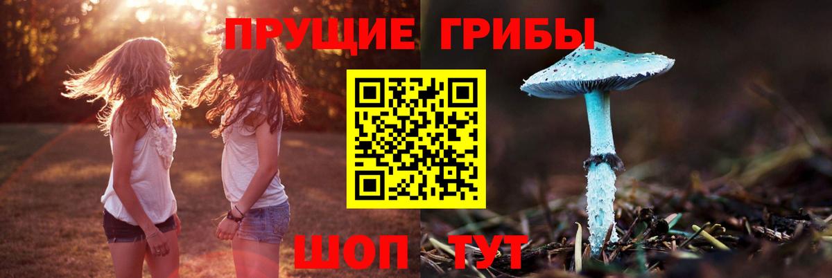 Коломна  Псилоцибиновые грибы мицелий  Вход с VPN  Псилоцибиновые грибы ЛСД 
