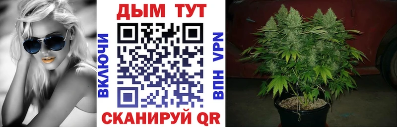 Марихуана OG Kush Коломна